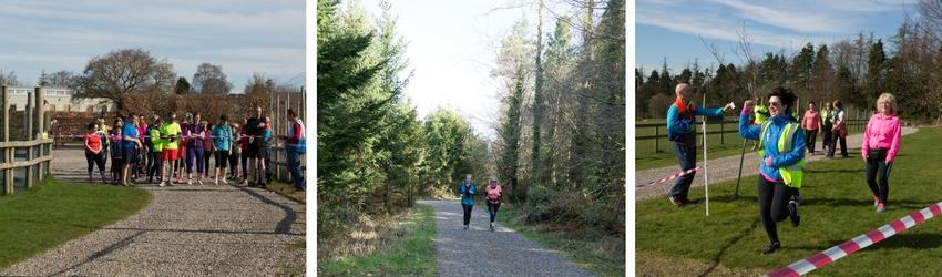 Tullow Parkrun - first for Carlow in Rathwood
