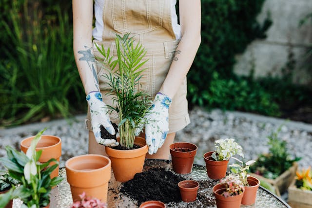 This mother’s Day spend quality time in the garden with your mum , embrace the tranquillity of the outdoors.